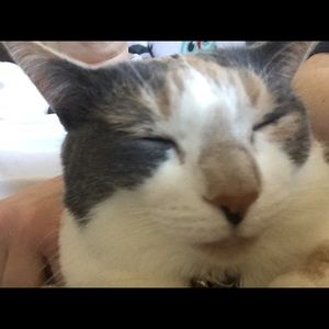 Meet your Posher, Emillie